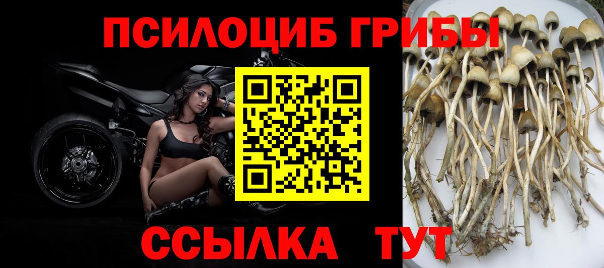Галлюциногенные грибы мухоморы Лыткарино