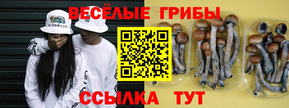  Cocaine Лыткарино